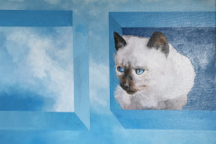 2019-poes-in-doos