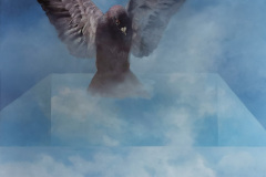 2019_Duif-uit-box